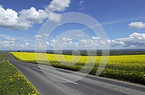 Road in the Yorkshire countryside - England