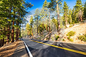 Road in the Yosemite National Park during a Sunny Day, California