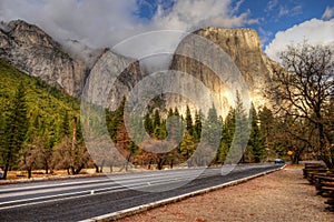 Road Through Yosemite Valley