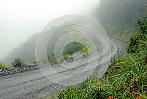 Road in Yungas, Bolivia photo