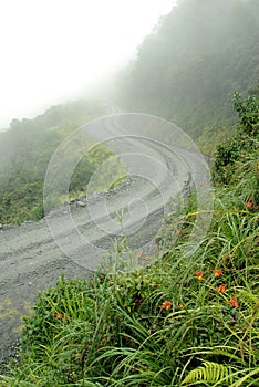 Road in Yungas, Bolivia