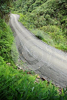 Road in Yungas, Bolivia photo