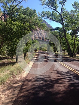 Road - Zion National park