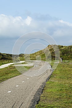 Road at the Zuidduinen