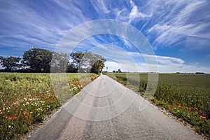 Road in Ã–sterlen, Sweden