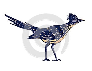 Roadrunner or Chaparral Bird Side View WPA Poster Art