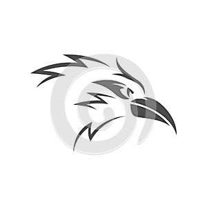 Roadrunner logo icon design