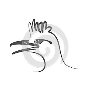 Roadrunner logo icon design