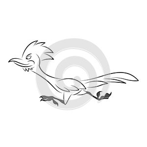 Roadrunner logo icon design