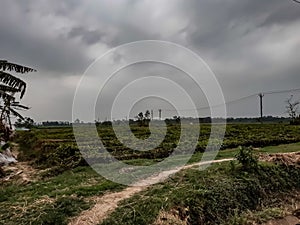 Roads and cloudy skies through green farmland