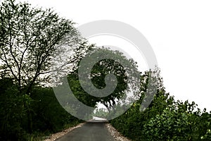 Roads passing through the green fields on both the sides isolated.