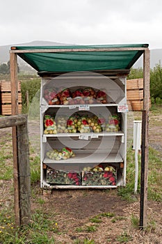 Roadside apple stall with honesty box