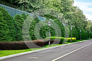 Roadside of asphalt bike path with drainage concrete canal and ditch with green plants.