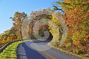 Roadside Autumn Color Along the Blue Ridge Parkway in Virginia