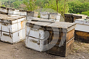 Roadside beehive