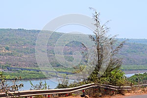 Roadside Casuarina tree with Bridge over River and Hills - Landscape in Konkan Region, Inida...