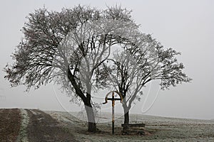 Roadside Crucifixion memorial under two leafless trees, foggy frosty countryside
