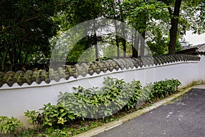 Roadside enclosure in verdant summer