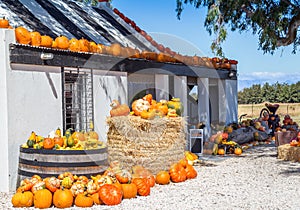 Roadside farm stall with pumpkins and vegetables
