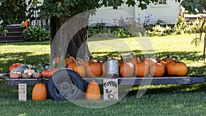 A roadside farm stand