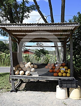 Roadside Farm Stand