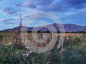 Roadside grass and vegetation with cloudy sky and mountains on the background