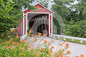 Roadside Lilies and Covered Bridge