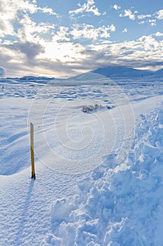 Roadside Marker in Snow