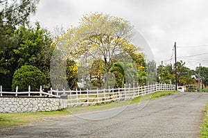 Roadside Picketing Fence