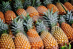 Roadside Pineapples