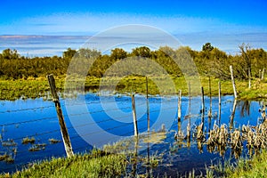 Camino estanque El gran patos región, 