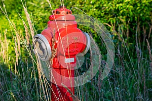 roadside red fire hydrant among grasses