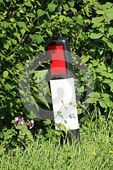 Roadside reflective marker post by hedge