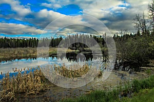 From the roadside, Riding Mountain National Park, Manitoba, Canada