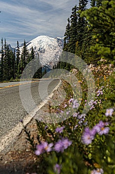 Roadside view of Mt. Rainier