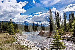 Roadside views along hiway 93 in late spring. Banff National Park Alberta Canada photo