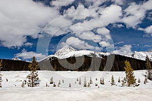 Roadside views of the mountains. Peter Lougheed Provincial Park Alberta Canada