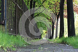 Roadside walk way in Bielsko-Biala