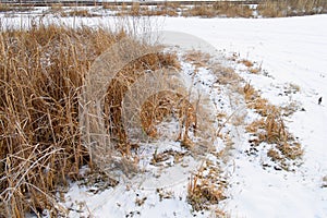 Roadside at the winter