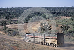 Roadtrain