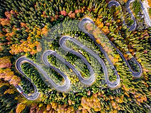 Roadtrip in the Forest in Autumn