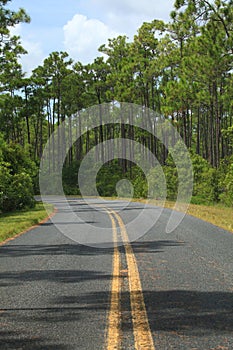 A roadway in Everglades National Park, FL.