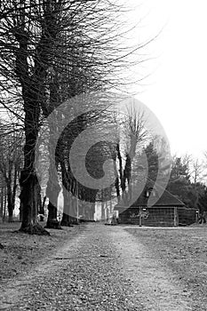 Roadway and house in park