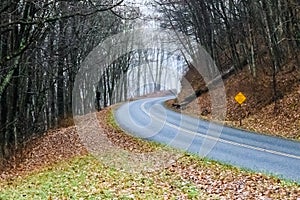 Roadway Meandering Through a Foggy Appalachian Morning Along the Blue Ridge Parkway