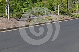 Roadway by parking lot, asphalt with formed concrete curb, trees and bushes landscaping