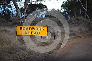 Roadwork Ahead Signal Australia wallaby photo