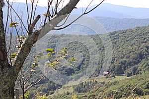 Roan Mountain Appalachian Trail View