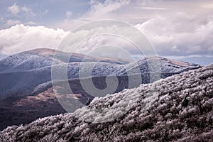 Roan Mountain in the Winter