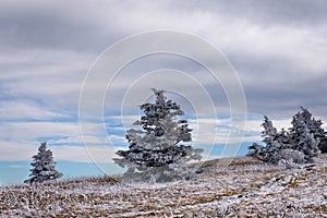 Roan Mountain Winter Hike 4 photo