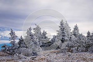 Roan Mountain Winter Hike 5 photo